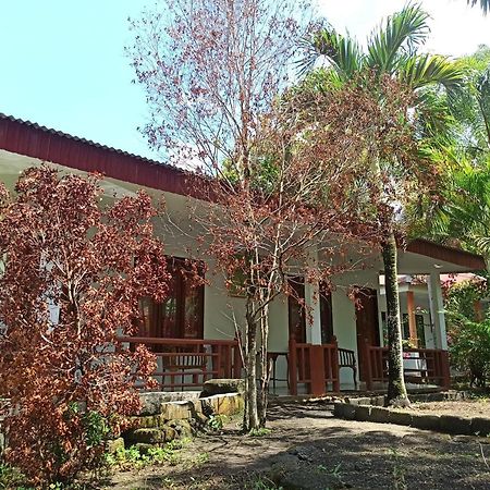 Tangkoko Jungle Homestay Rinondoran 외부 사진