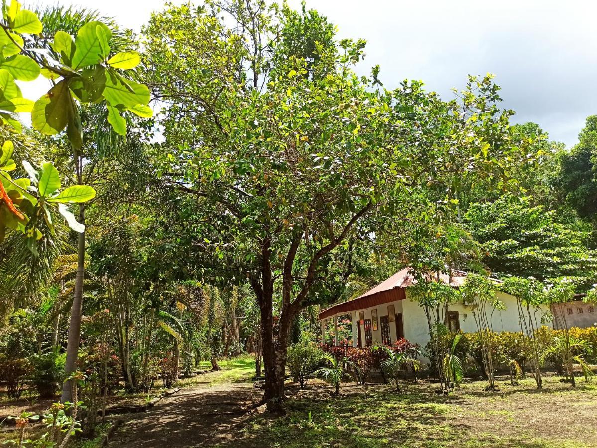 Tangkoko Jungle Homestay Rinondoran 외부 사진