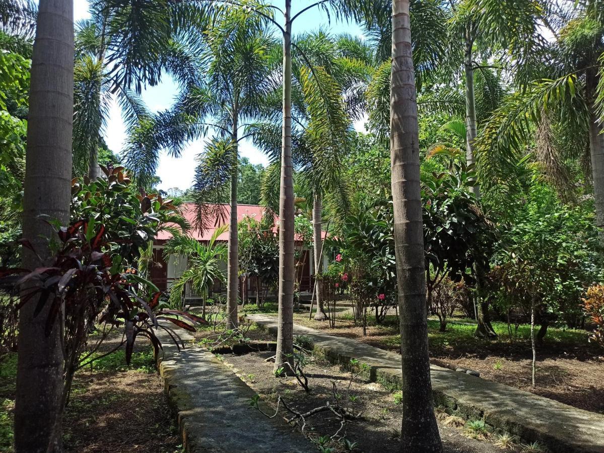 Tangkoko Jungle Homestay Rinondoran 외부 사진
